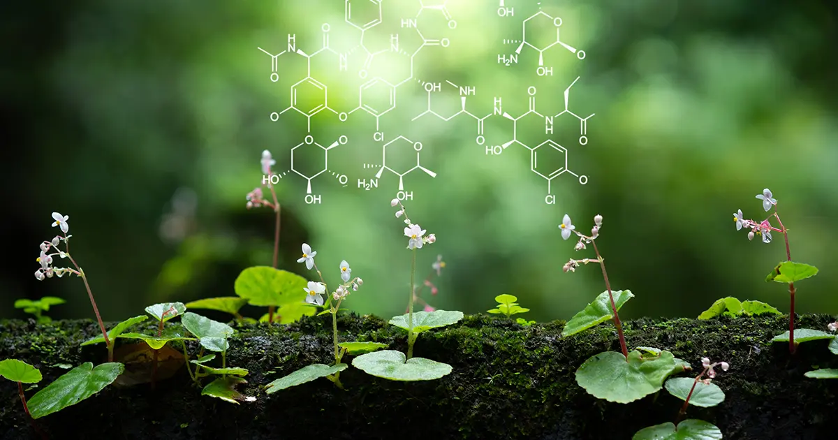 Biology | LiMSwiki Glossary